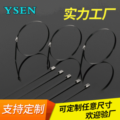 金屬船用紮帶201噴塑滾珠自鎖式304不鏽鋼紮帶4.6*300mm 支持定做