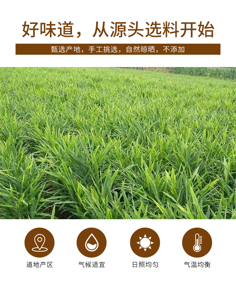 Ginger Shred Tea (Zingiber officinale) — Yunnan Small Yellow Ginger Dried Shreds, 150g Jar key features