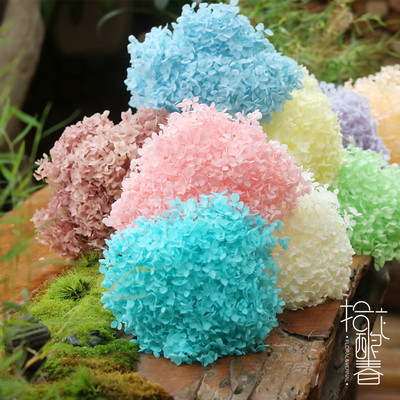 直销安娜绣球 多色安娜绣球 家居婚庆安娜绣球 舞台布置安娜绣球|ru