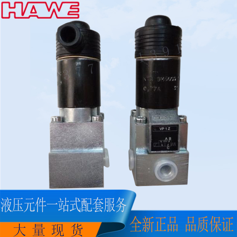 DS2-1 德国哈威HAWE 现货产品