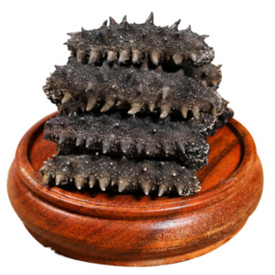 产地货源大连海参冷冻浅海底播野生即食海参辽刺参深海辽海参干货|ms