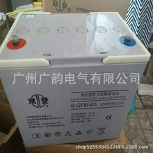 新疆双登蓄电池6-GFM-65 12v65ah阀控式密封型蓄电池 包邮价格