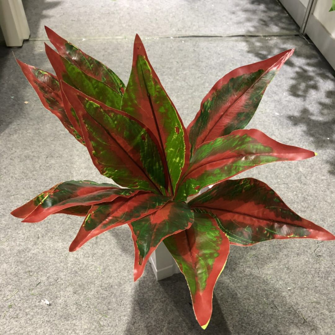 DIY artificial bird's nest fern, magnolia leaf, artificial plant wall accessories, small bonsai, green plants, hand-felt leaves, Brazilian wood detail image 6