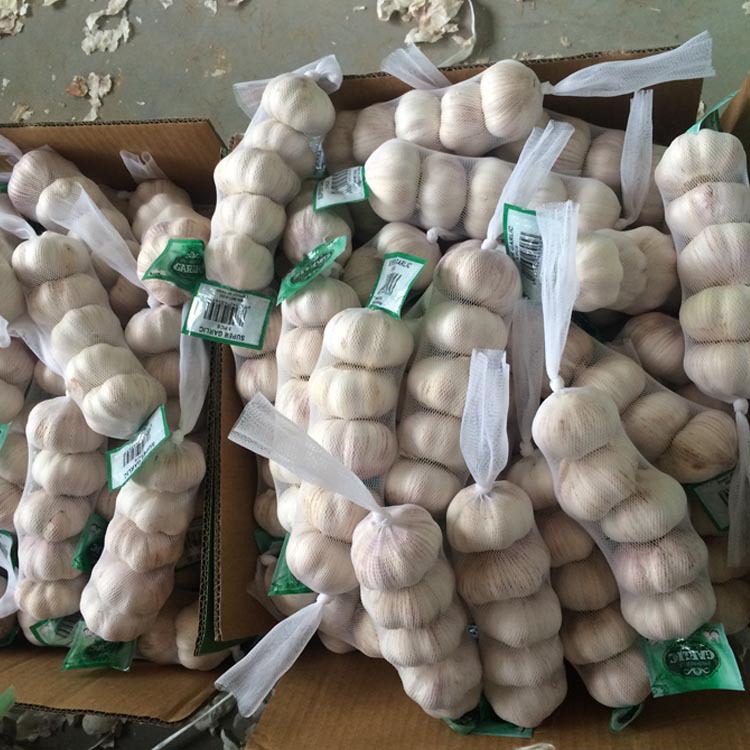 大蒜出口加工，为贸易公司提供准确报价，量大从优