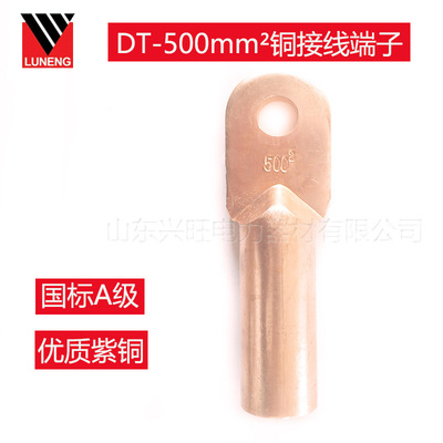 电力金具国标A级纯紫铜DT-500铜鼻子电缆DT铜接线端子铜连接头