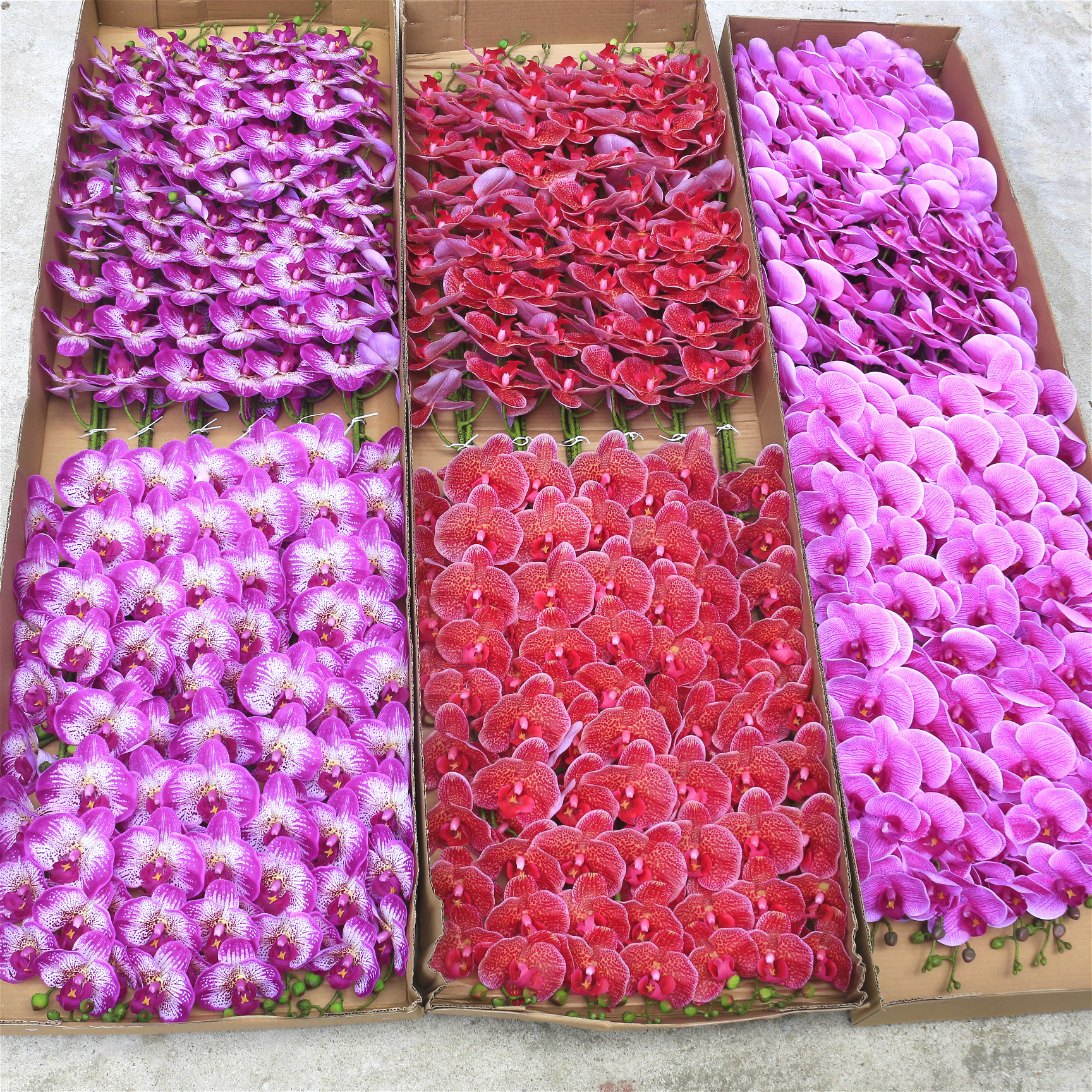 6b18cf5f652e9cf461d583c319953e