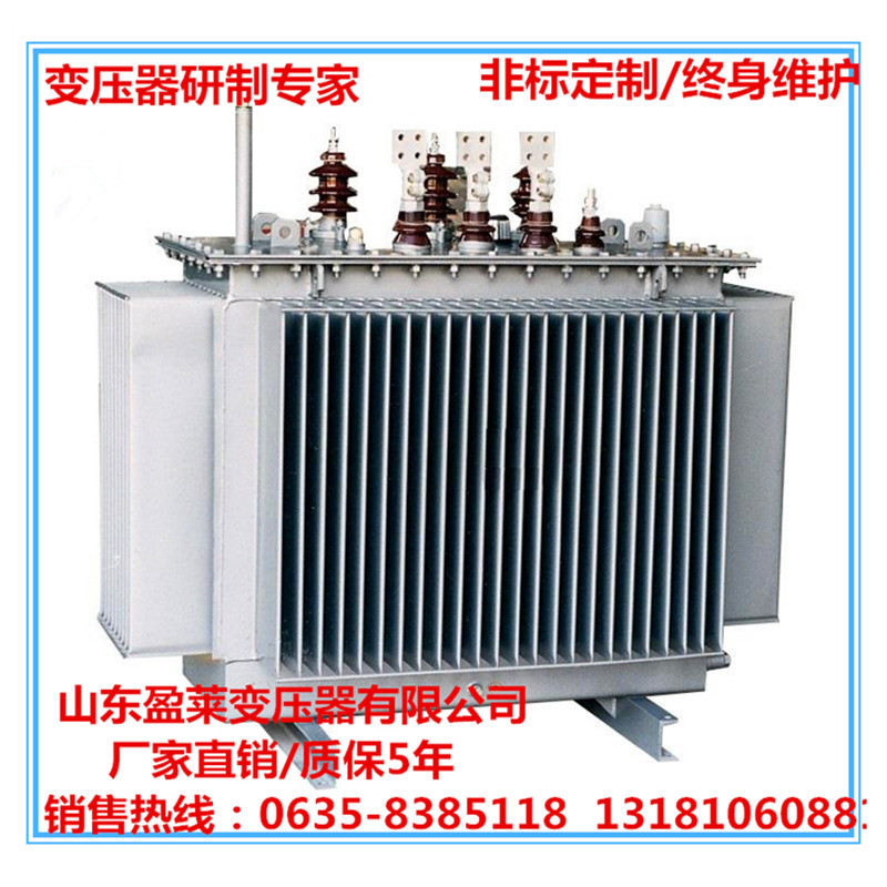 S11油浸式变压器_.jpg