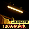 led cupboard Induction lamp new pattern intelligence Nightlight adjust usb charge Induction bedroom Wardrobe cabinets