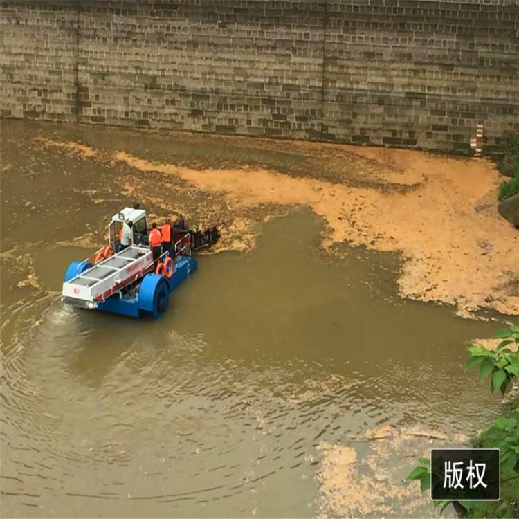 全自动水葫芦收割船 河道水面垃圾打捞船 定制割草船厂家