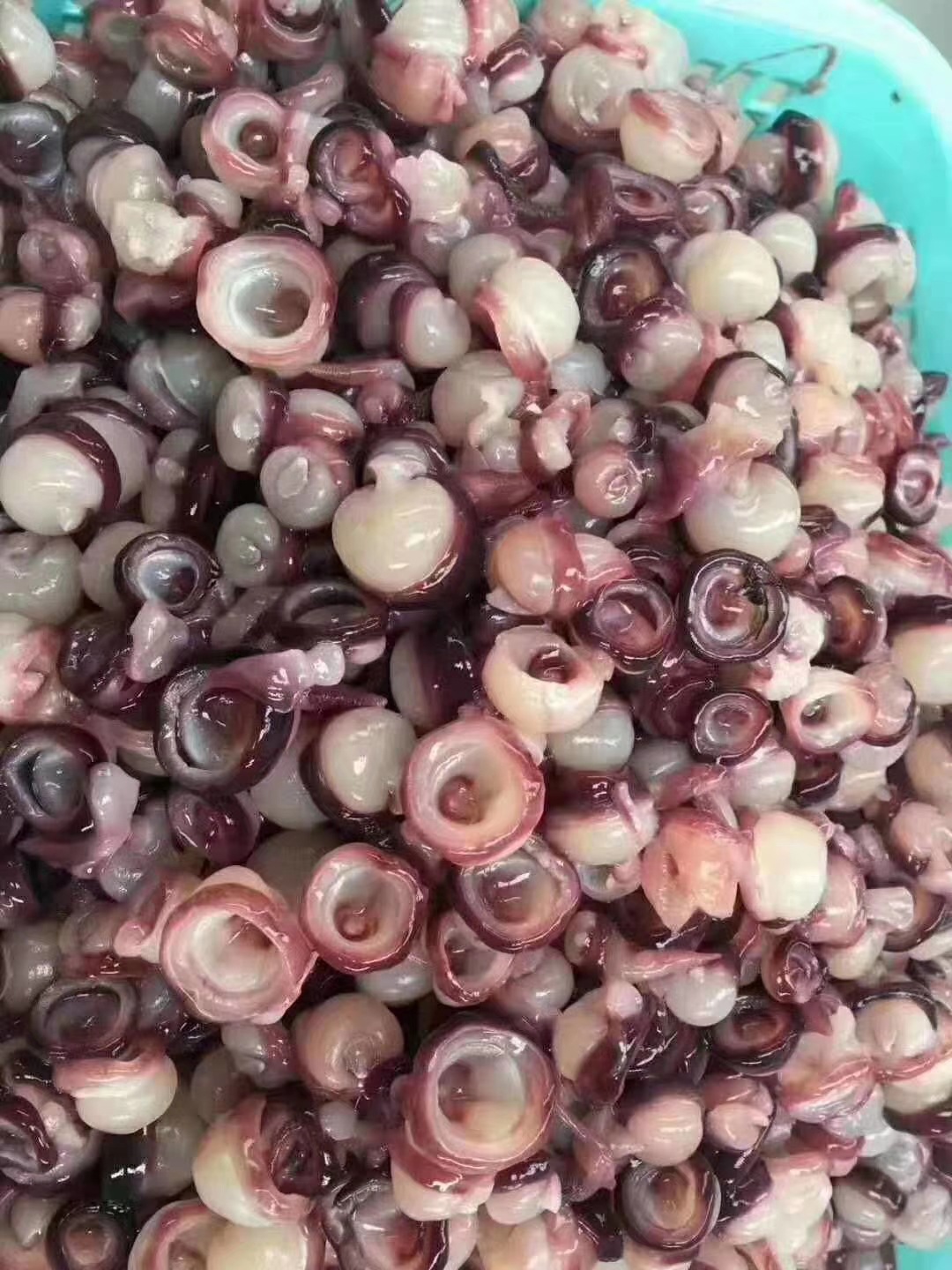 酱爆海灵菇怎么做_酱爆海灵菇的做法_豆果美食