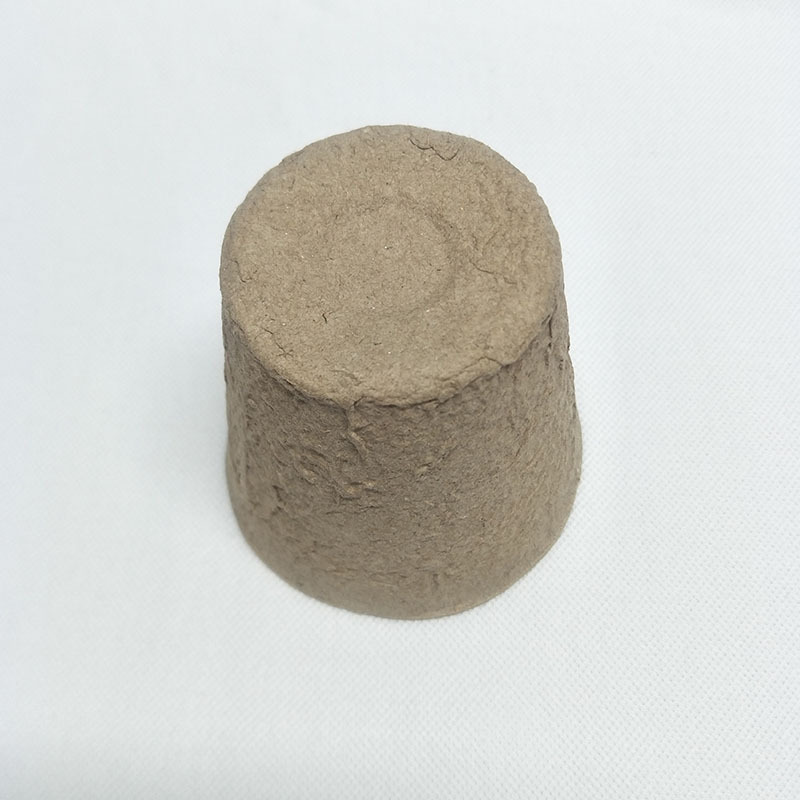 未标题-1_0003_QQ图片20190404170447