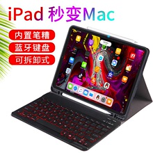 ipad Pro2018棩ƽX߲ʱo{IPP11籣o