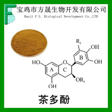 95% ̲ȡ  赥 Green Tea Polyphenols