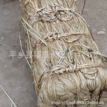 �����ɶ�������ˮů������zƤ���m��䓹ܵ�����������������ώ�