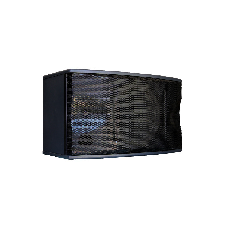 会议音响 专业音响 会议音箱 CARANCHO CK-350