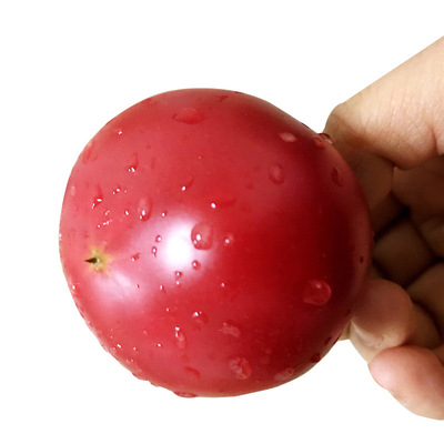 云耕东犁 现摘熊蜂授粉自然熟番茄粉柿西红柿蜂柿3kg 新鲜蔬菜