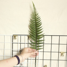 廠家直銷散尾葵蕨葉龜背葉INS風仿真花廠家家庭裝飾婚慶植物牆假