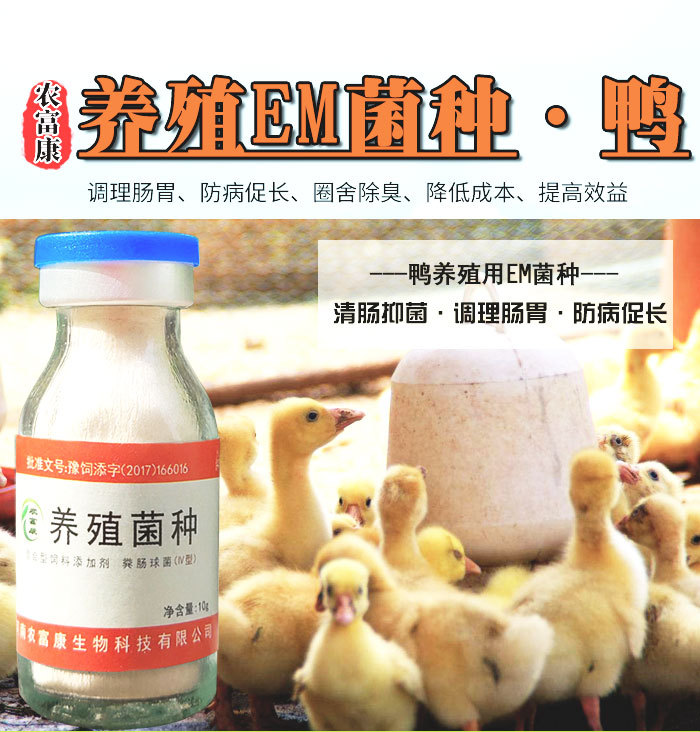 Ѽ��������