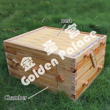 亚马逊ebay Flow hive 厂家  塑料蜂巢 继箱 巢框 新型自流蜜蜂箱