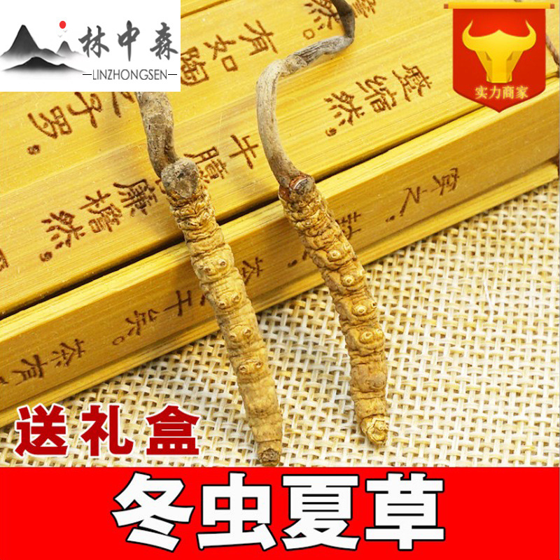 林中森中药材产地货源西藏那曲冬虫夏草散装批发4条/克|ms