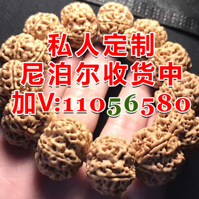 金剛菩提子手串尼泊爾六瓣6瓣 五六瓣 雙龍爆肉 姜黃皮 黃皮 紅皮