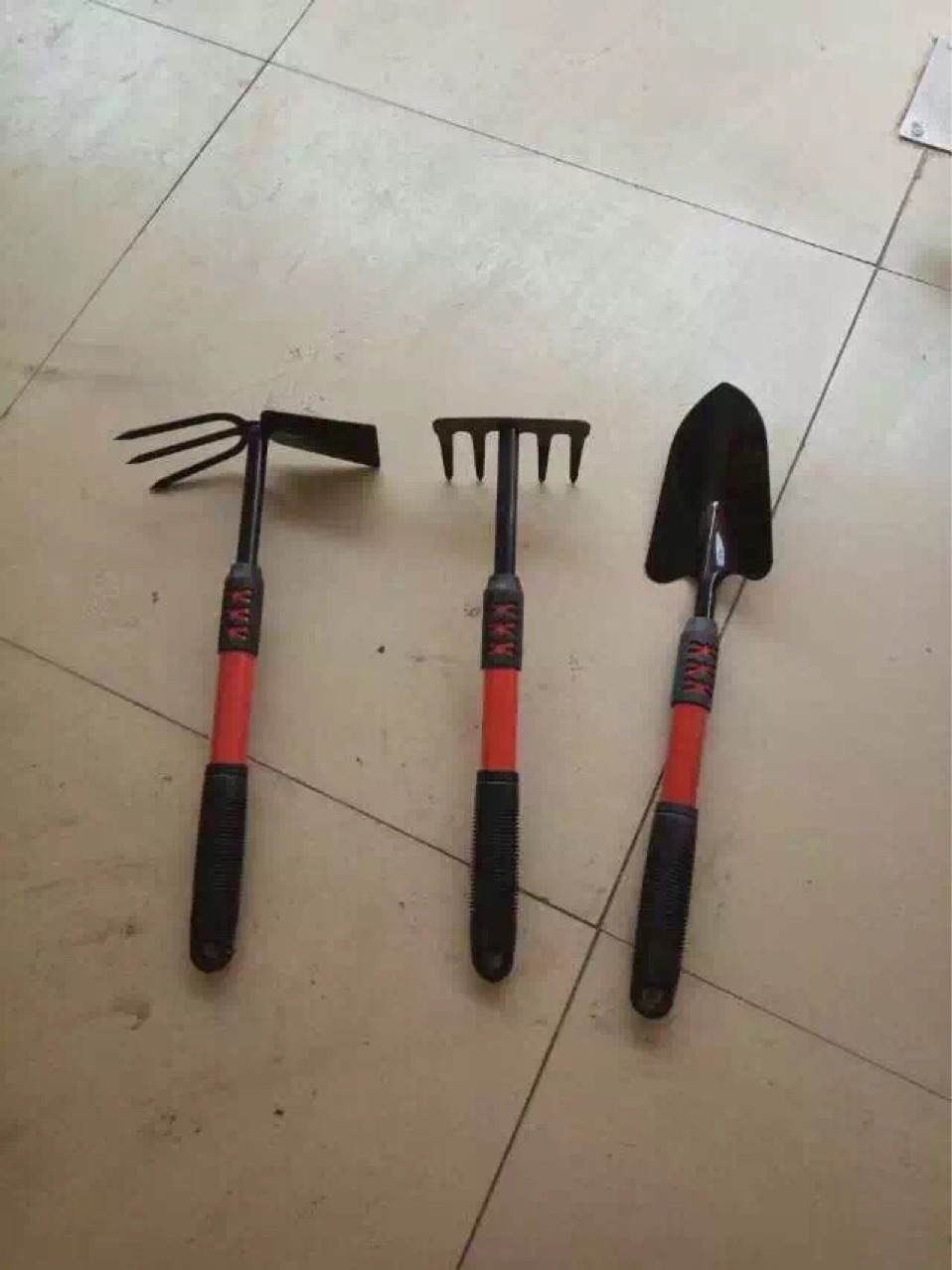 3217851039_1578675911