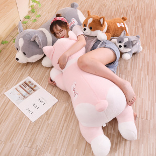 ��ʿ�湫�ж���ë�q��߹�����̖���ﲼ���ރ�ͯ��ż˯�X����