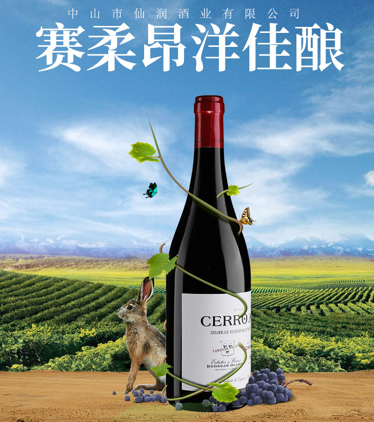西班牙原瓶进口红酒赛柔昂洋佳酿  商务送礼珍藏红酒  酒水批发