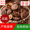 2019 Made direct marketing 3-4cm Farm dried food Rootless Mushroom Mushrooms Dried mushrooms wholesale Produce