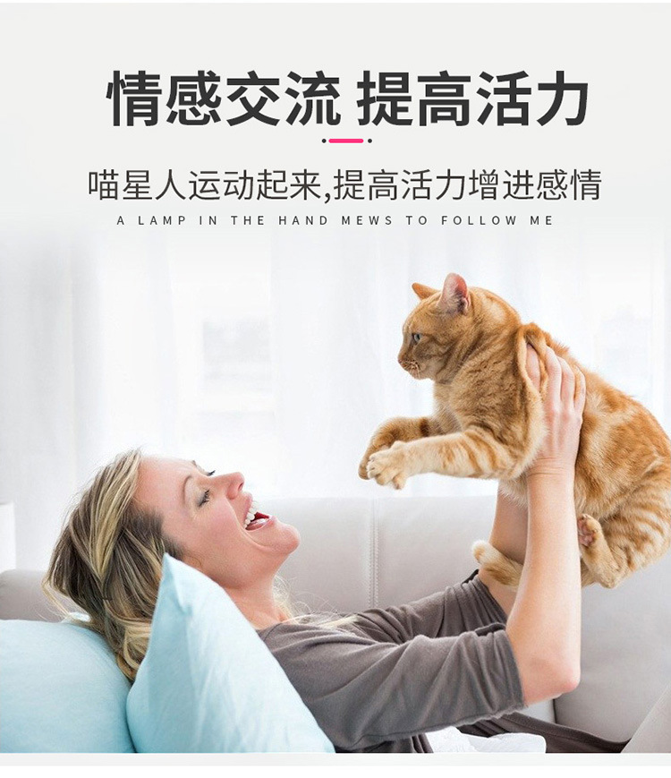 猫爪手电筒 多功能手电 激光逗猫紫光检测白光照明便携小手电批发详情8