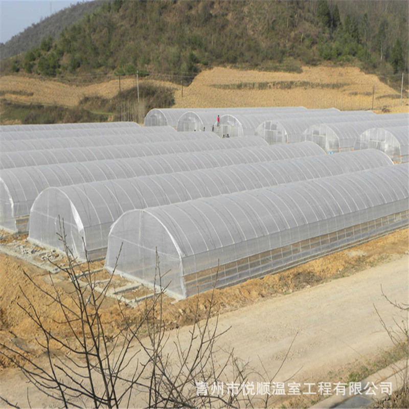 供应 日光阳光玻璃温室供应连栋薄膜阳光玻璃温室