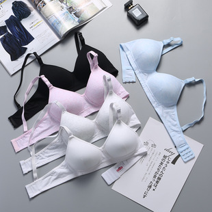 �o�Ȧ�ޱ�������ЌW�� �l�������؏S�ҹ��� С�ؾ۔n��������