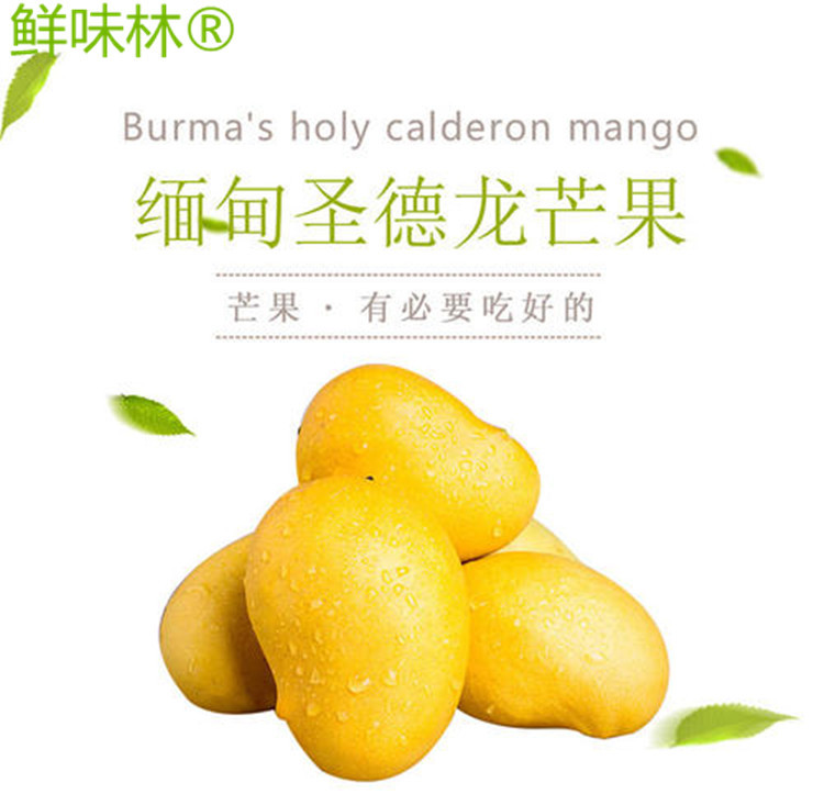 缅甸圣德龙钻石芒果非青芒台农餐饮商超大件批发航空包邮5斤代发