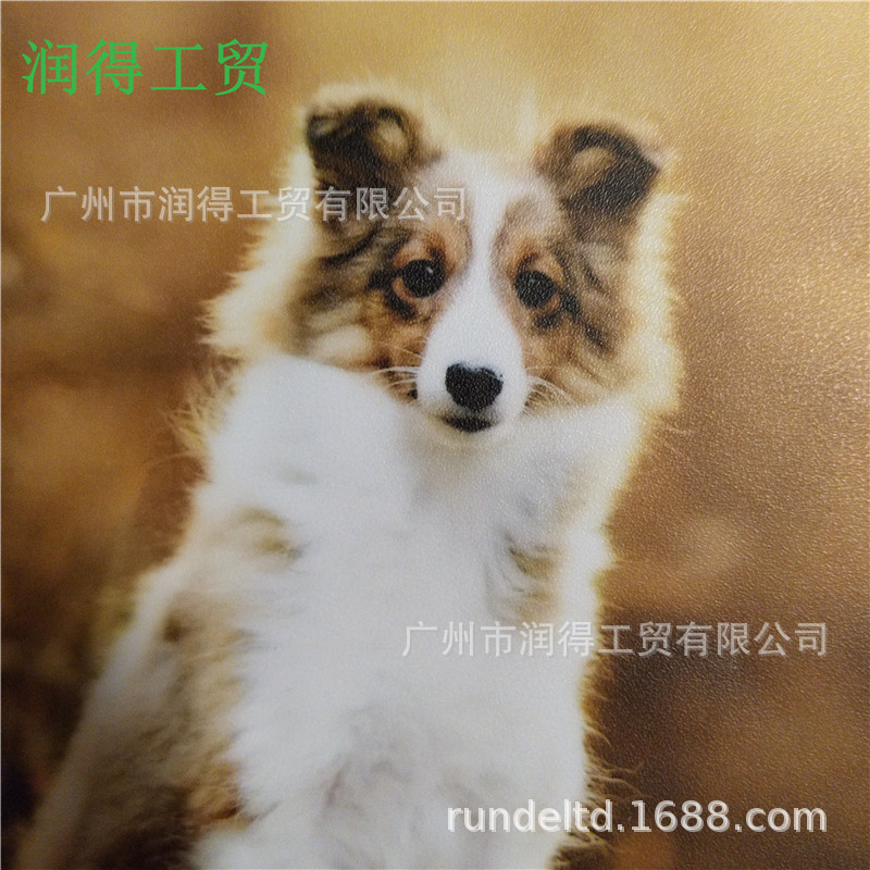 25寸36寸50寸 PVC磨砂哑面冷裱膜 透明卷筒影楼膜 广告写真保护膜|ms