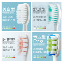 廠家批發西馬龍電動牙刷替換刷頭杜邦軟毛刷聲波震動通用牙刷頭