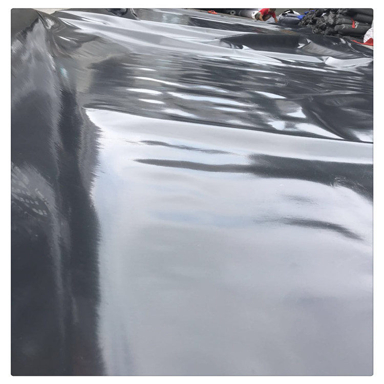 庭院自制的小水池防漏膜大型水产养殖膜地基隔潮HDPE加厚土工黑膜