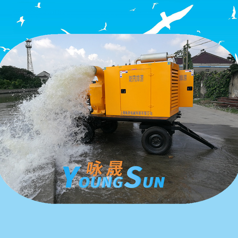 12寸柴油机自吸污水泵