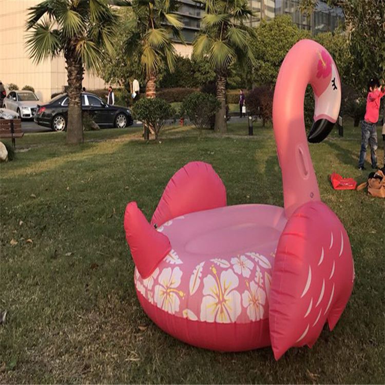 Inflatable Float Image 10