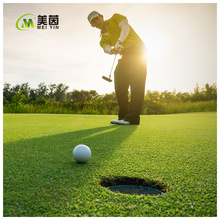 �ߠ��������ƺ���X��ƺ�|�\�Ӳ�ƺ��������ݸߠ�����X��