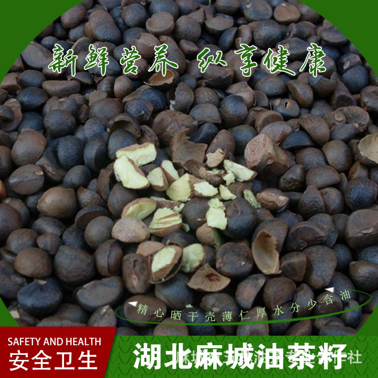 （产地供应）湖北油茶籽 烘干茶籽 油茶之乡 高油率茶籽 山茶籽