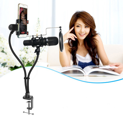 Microphone Microphone support Fast Trill Net Red live broadcast Mobile support factory Direct selling