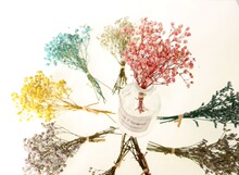 �羳�ɻ����˲������M��������С���� �Y���b� С��ƿ����