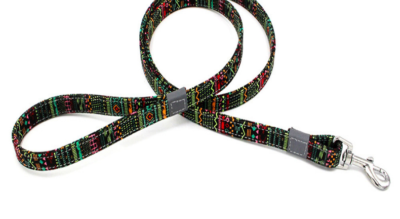 Fashion Canvas Color Block Pet Collar 1 Set display picture 5