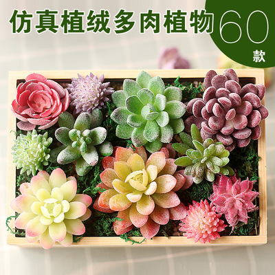 simulation Succulent plants Succulent Green plant indoor decorate combination Flocking lifelike Fleshy wholesale