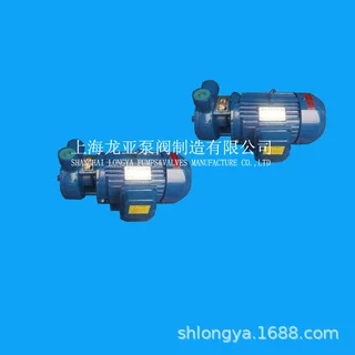 供应1.5W2.4-10.5变频旋涡泵 抽水泵有几种