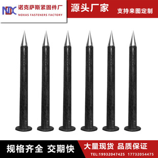 �N� �T� ���^�N�S��ᔼ��^��λ�N���^�Tᔴ��ľ� ��D�ɶ���