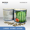 Zhongke Maohua Water Fruit and Vegetable Seeds Company Jin Meidu Kirin Watermelon Seed Improvement 8424