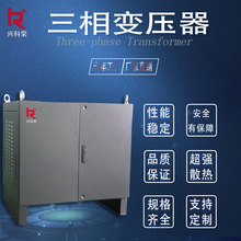 厂家直销三相干式变压器65KVA升压降压变压器进出口设备配套专用