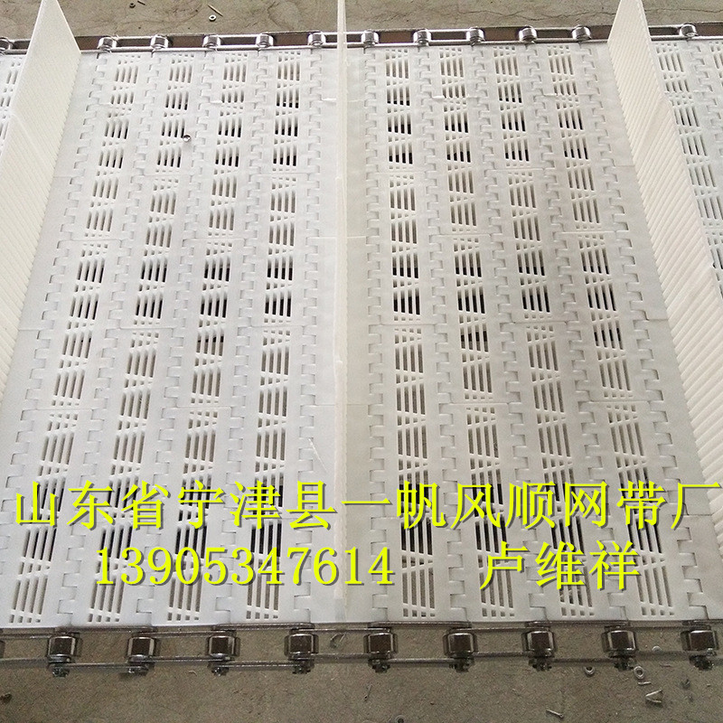 清洗机塑料输送带、链-880900008-01.jpg