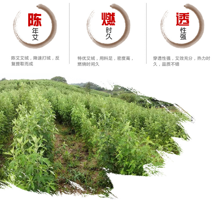 4cm Thickened Five-Year-Aged Handmade Moxa Sticks, Moxa Grass Sticks 5:1, Nanyang Moxa Sticks from detail image